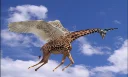 Cavilliers