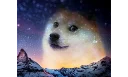 Dream Doge