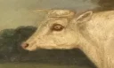 BoostedAnimal Farm