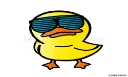 No quacks given 