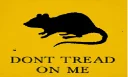 the nature of the rat
