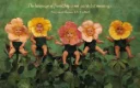 5 beautiful flowers